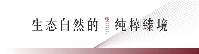 mg冰球突破红瞰花园洋房